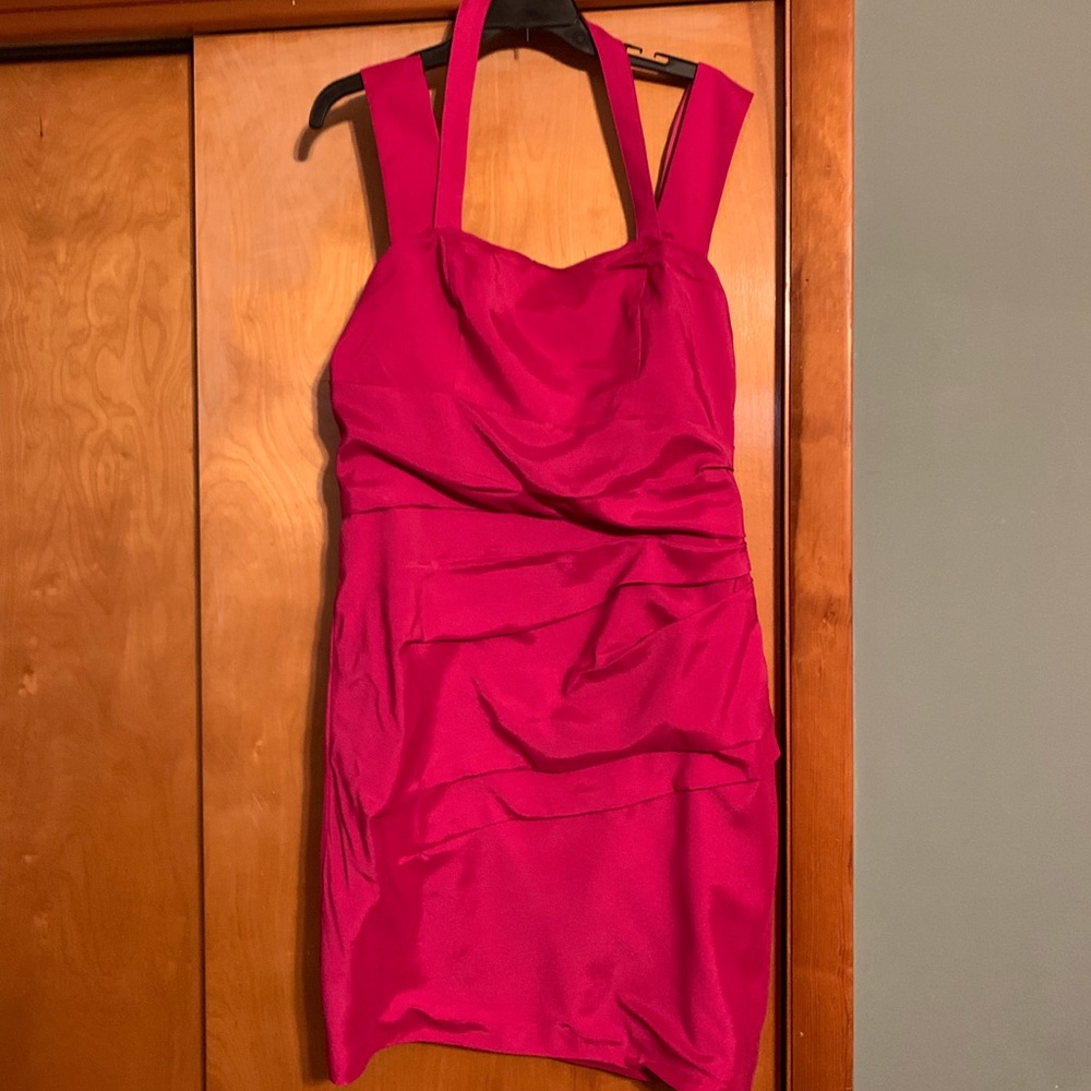Express Fushia Dress